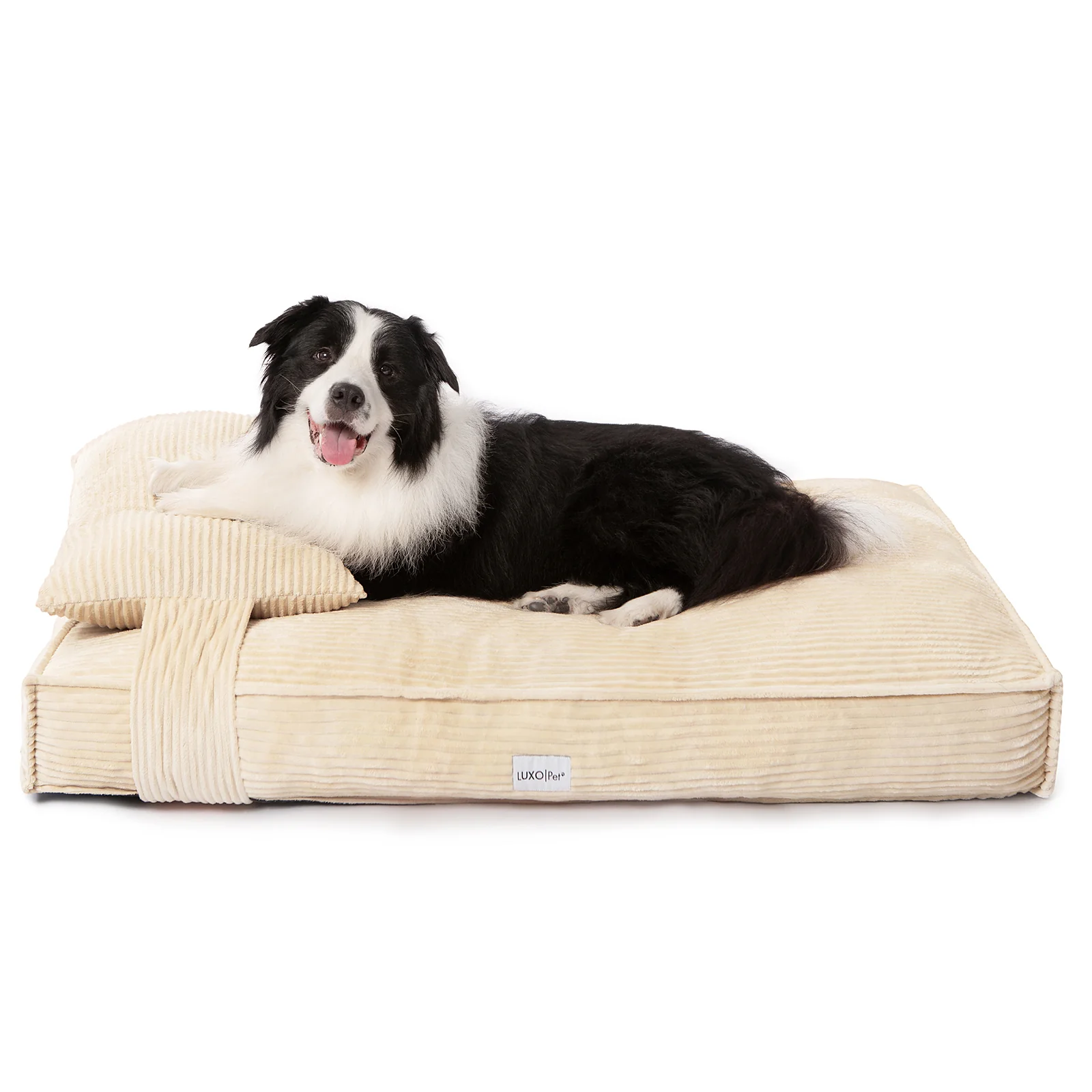 Dax Extra Large Corduroy Dog Bed in Beige - Image 3