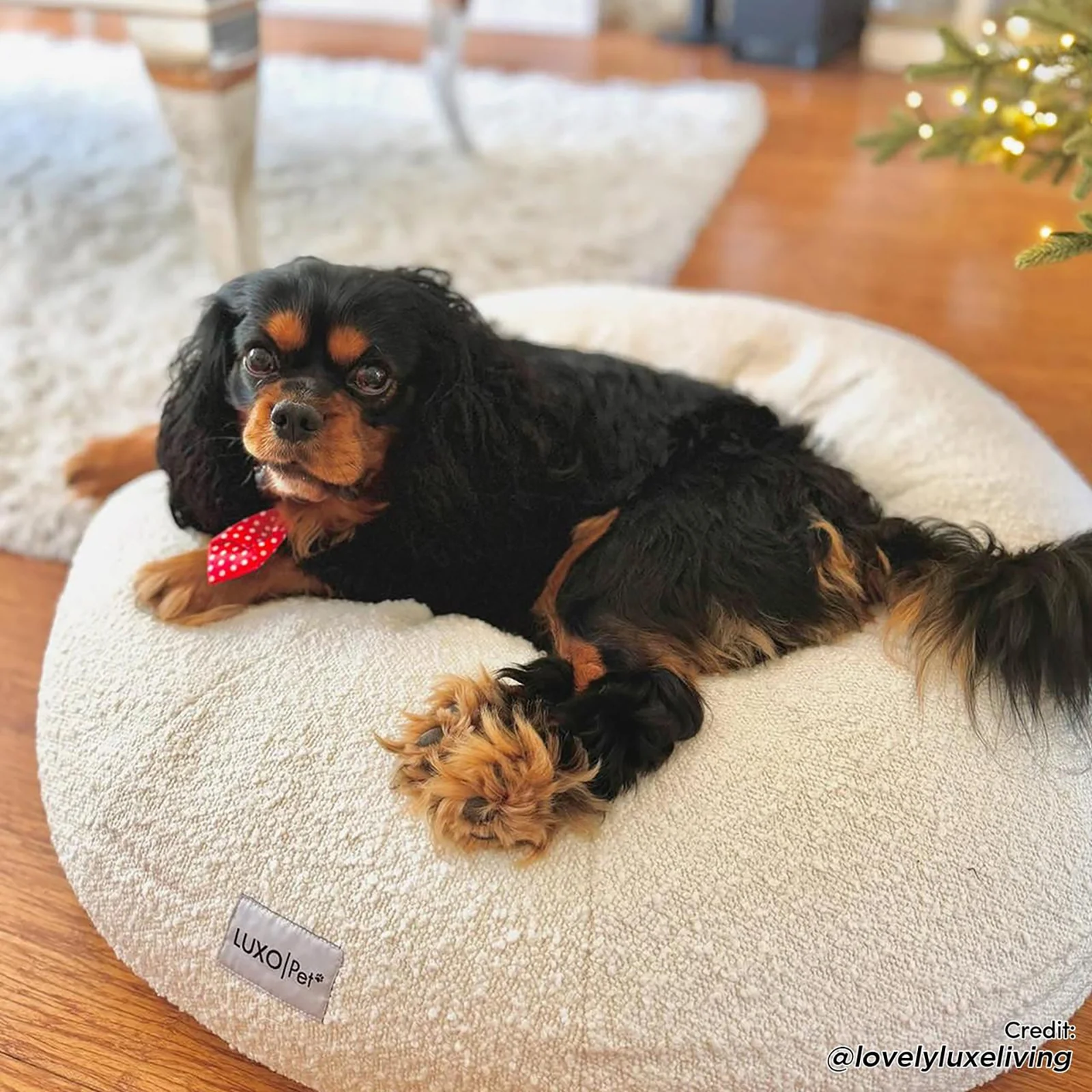 Kyra Medium Boucle Plush Pet Bed in Light Beige - Image 3