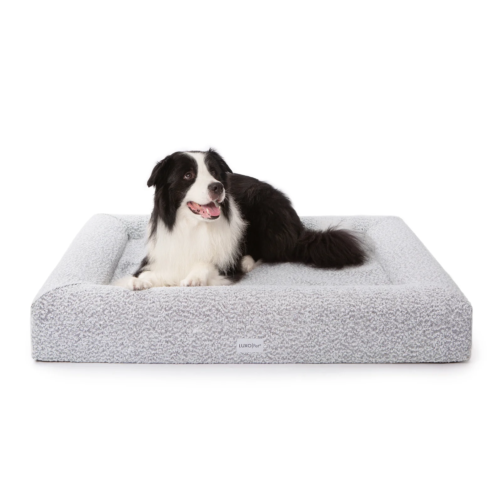 Tyro Large Orthopedic Memory Foam Pet Bed in Black White - Image 3