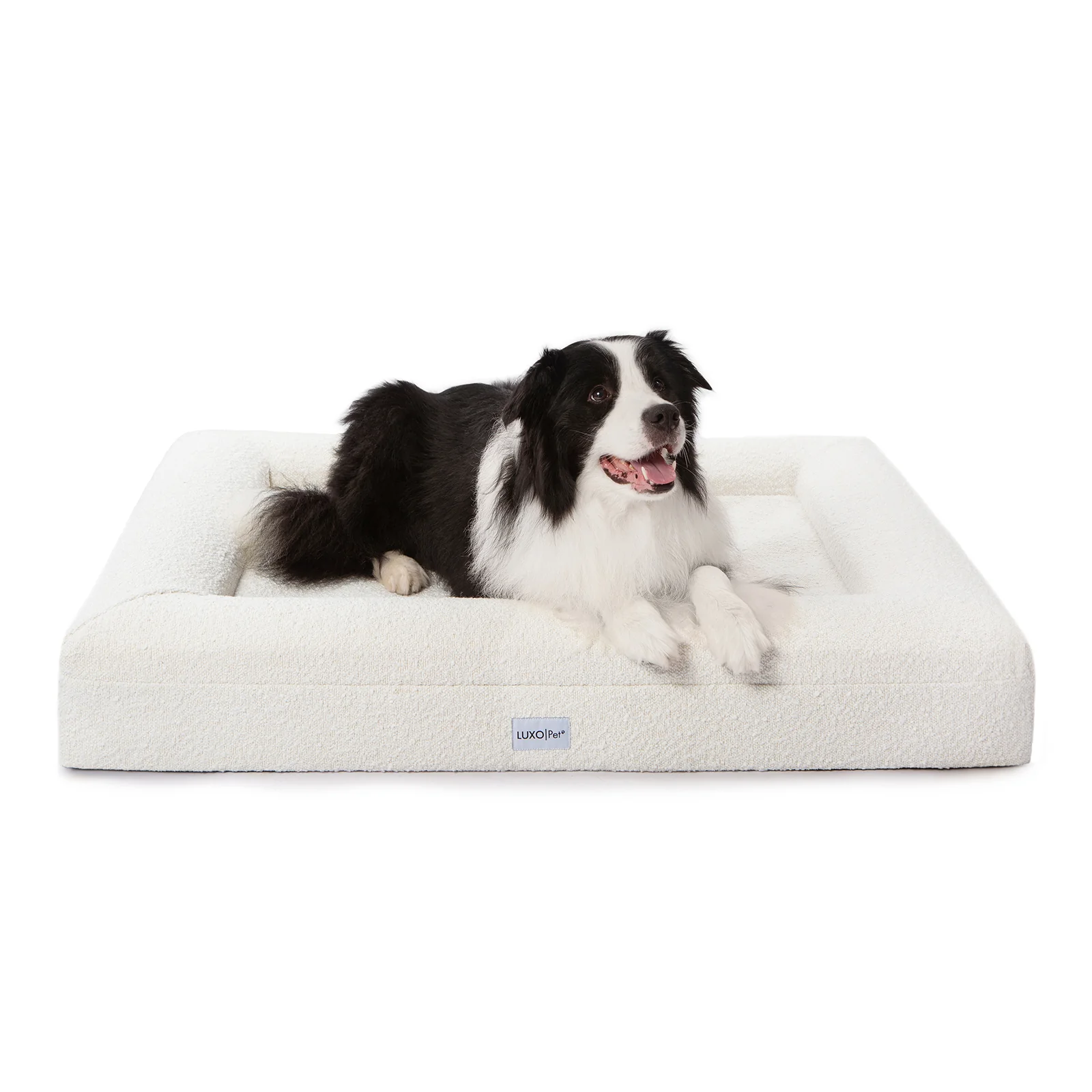 Tyro Large Orthopedic Memory Foam Pet Bed in Light Beige - Image 5