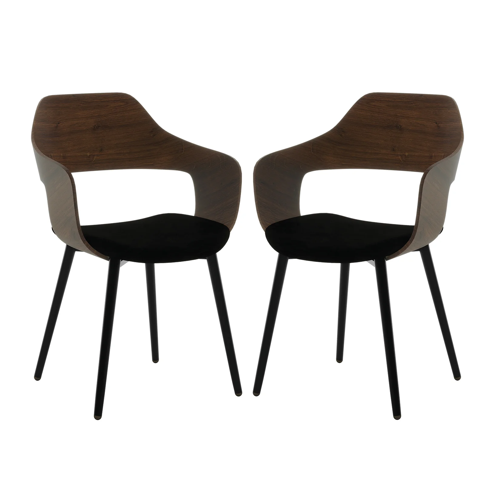 Winfield Curved Velvet Dining Chair Set of 2 in Black